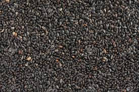 Sweet Basil Seeds Thai Basil Seeds Sabja Seeds Tukmaria. www