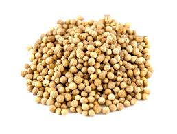 Organic Coriander seeds